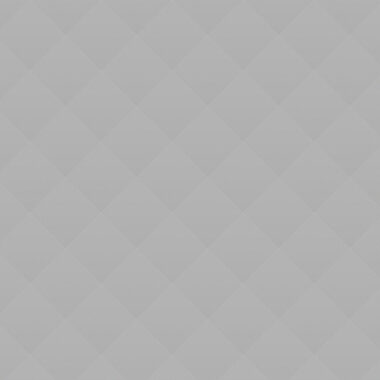 Precious Lavender Tulips